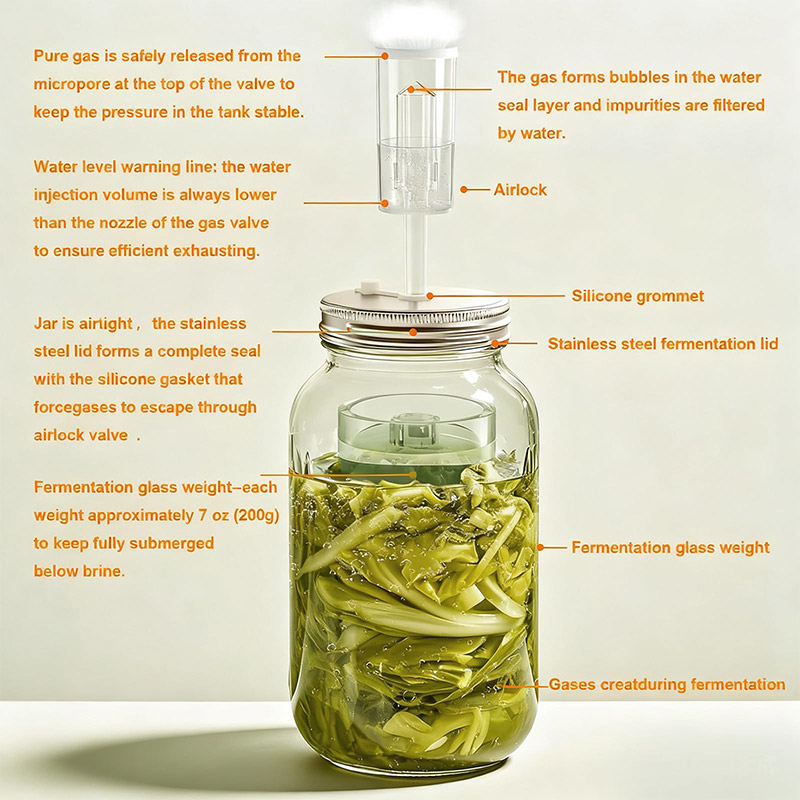 Набор для ферментации: стеклян – обзор и цена Fermentation Crock